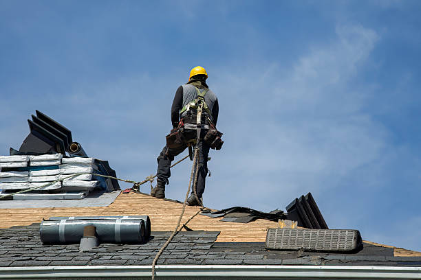 Professional Roofing technician working in Lottsburg, VA